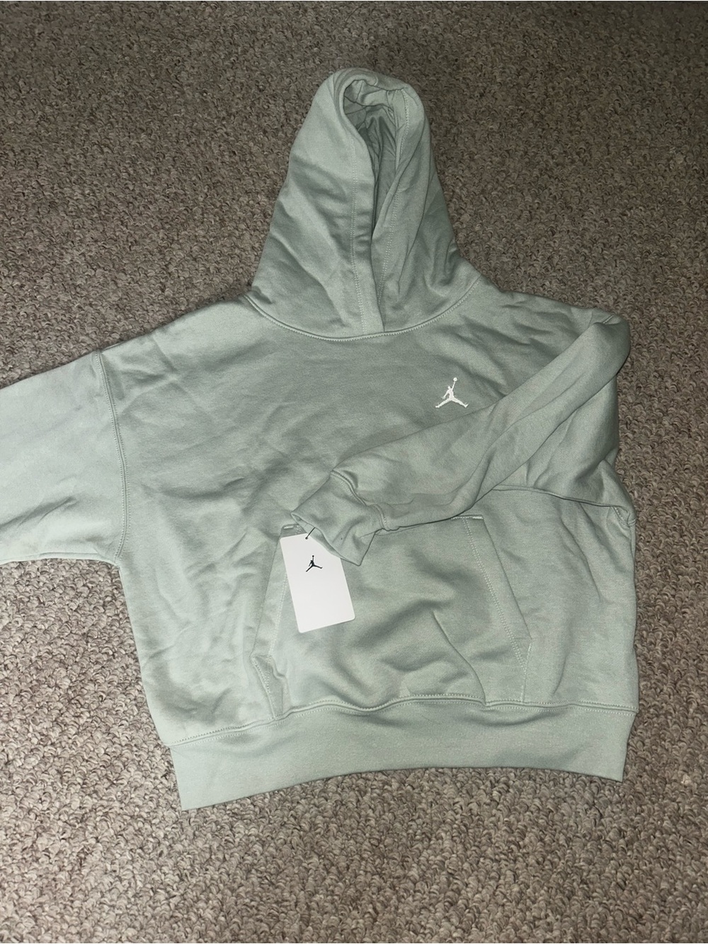 NWT Jordan Sage Hoodie Sweater Girls Large Seafoam
